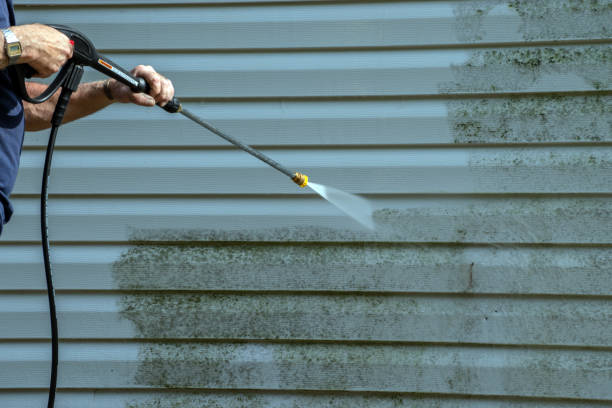 Best Vinyl Siding Pressure Washing in Castle Rock, CO